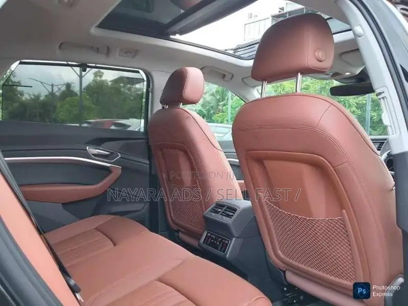 Audi Q8 E-Tron 2024 SUV (Used)