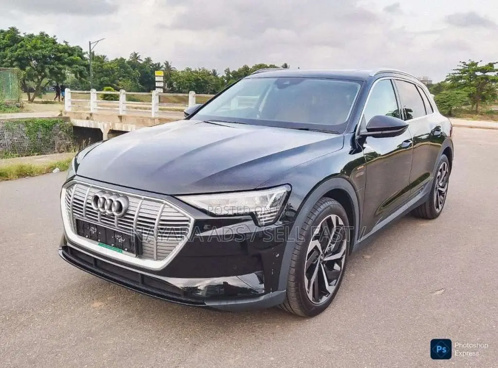 Audi Q8 E-Tron 2024 SUV (Used)