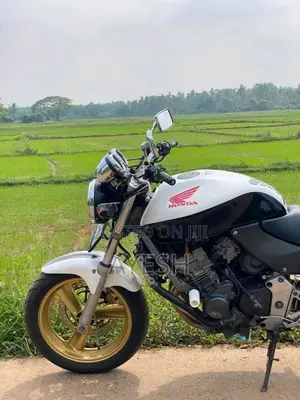 Honda Hornet 2007 Motorbike (Used)