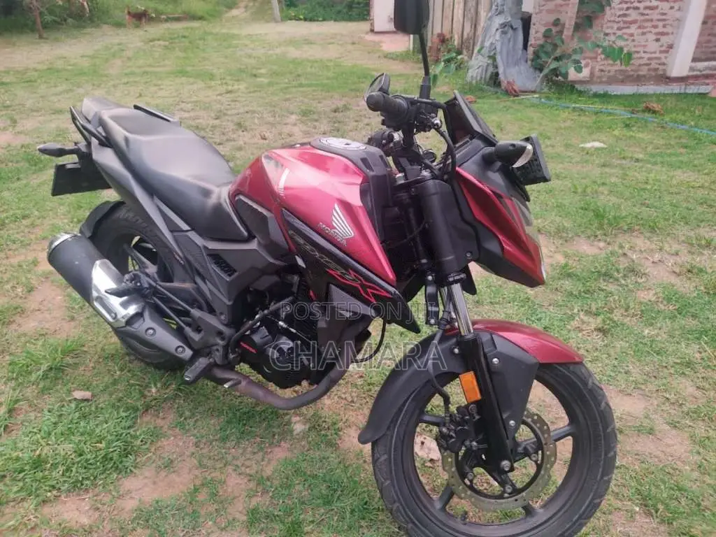Honda Hornet 2019 Motorbike (Used)