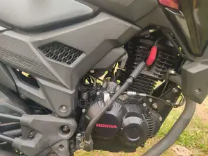 Honda Hornet 2019 Motorbike (Used)