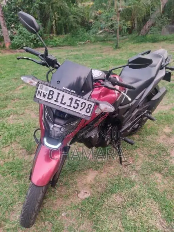Honda Hornet 2019 Motorbike (Used)