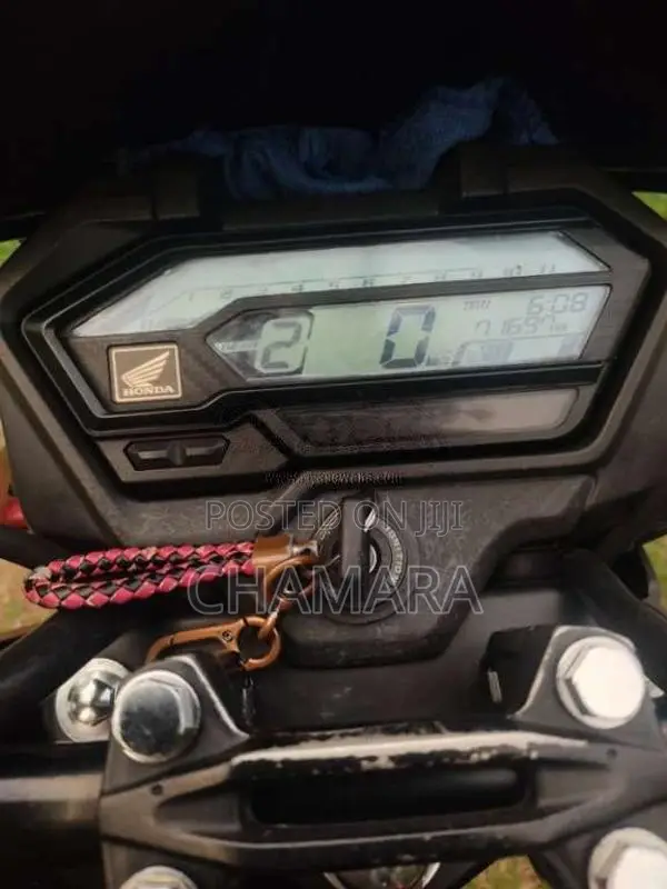 Honda Hornet 2019 Motorbike (Used)