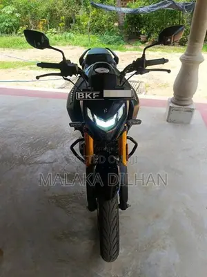 Hero Hunk 160 2025 Motorbike (Used)
