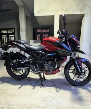 Bajaj Pulsar NS160 2019 Motorbike (Used)