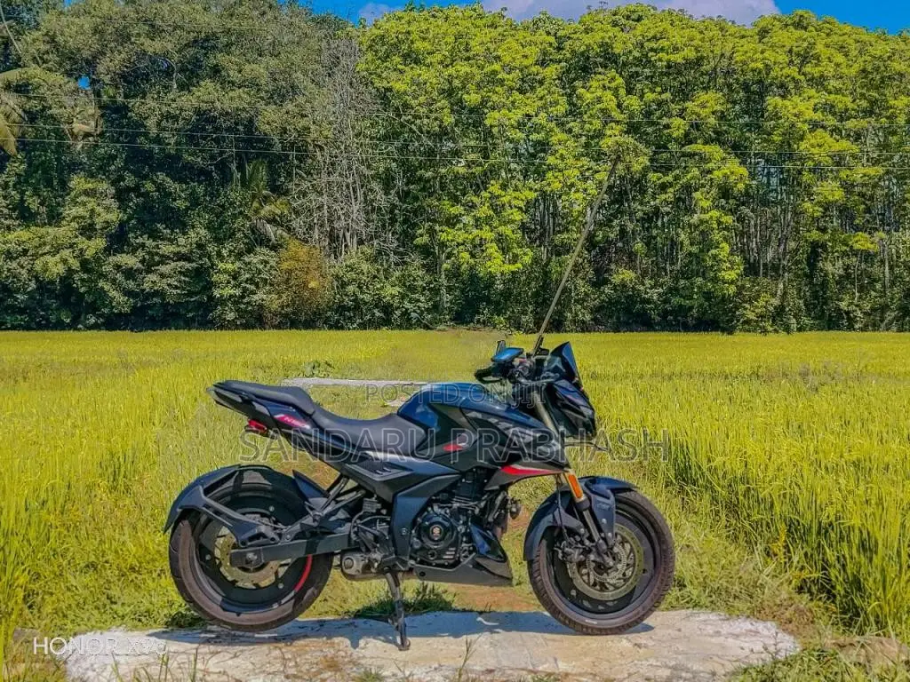 Bajaj Pulsar 2025 Motorbike (Used)