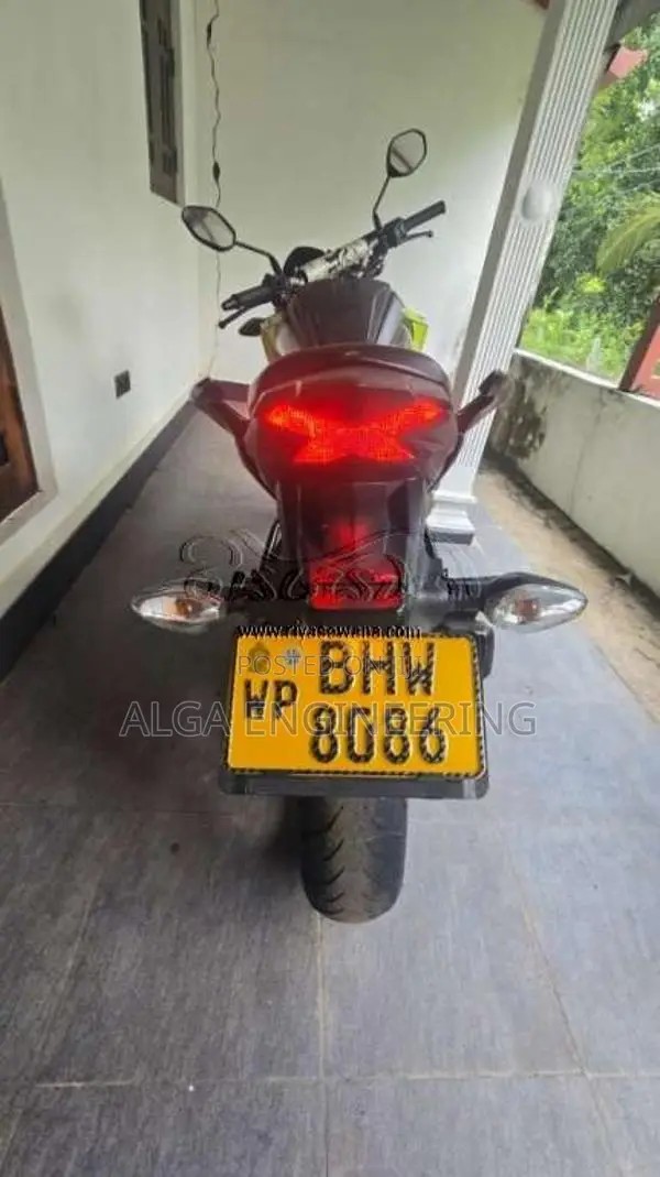 Honda Hornet 2019 Motorbike (Used)