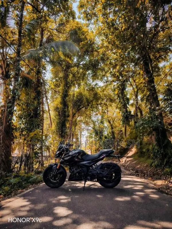 Bajaj Pulsar 2025 Motorbike (Used)