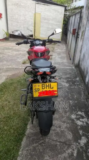 Bajaj Pulsar 2019 Motorbike (Used)