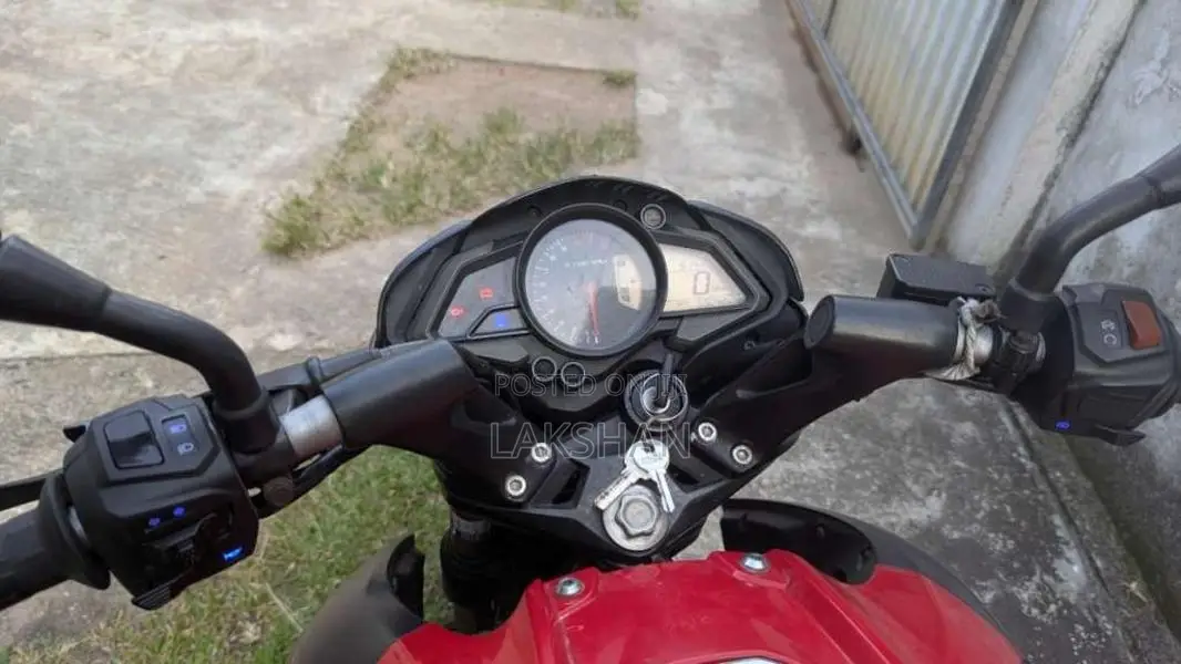 Bajaj Pulsar 2019 Motorbike (Used)