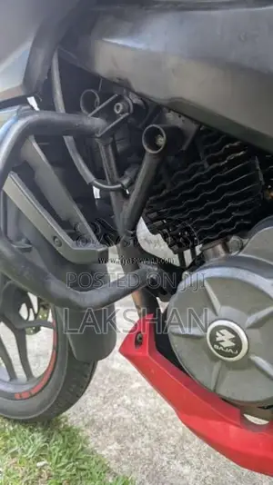 Bajaj Pulsar 2019 Motorbike (Used)