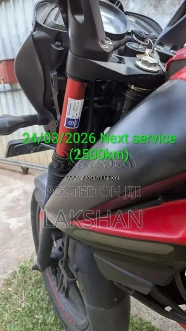 Bajaj Pulsar 2019 Motorbike (Used)