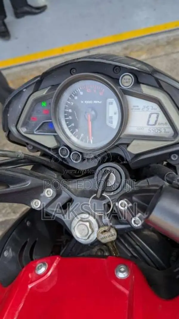 Bajaj Pulsar 2019 Motorbike (Used)
