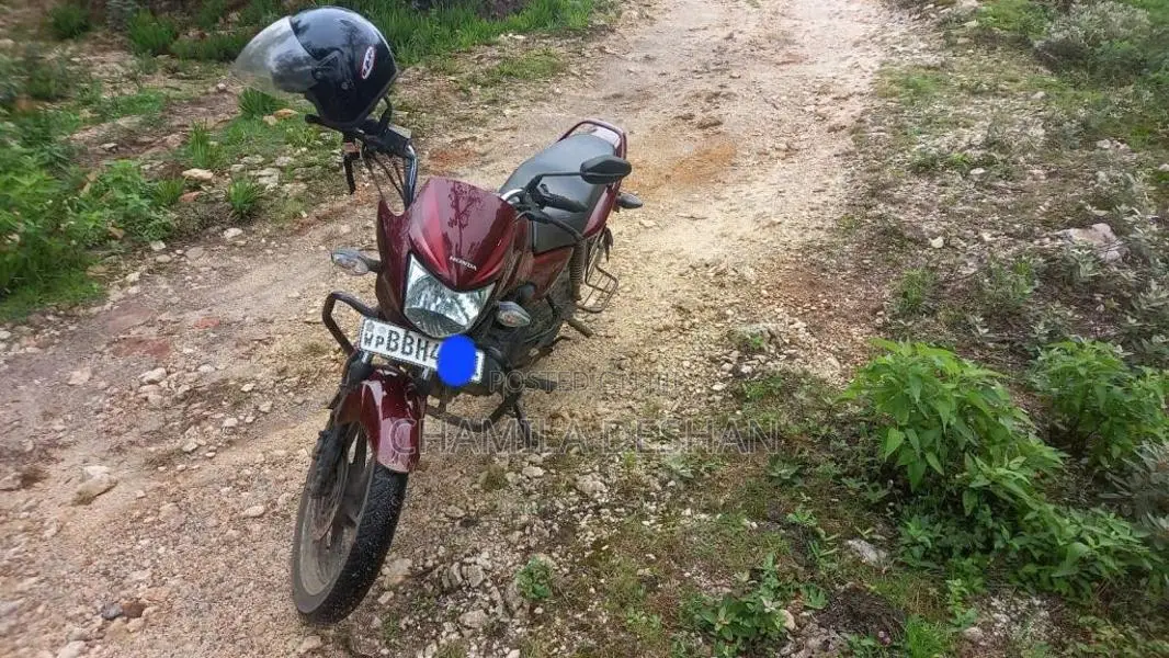 Honda Shine 125 2015 Motorbike (Used)