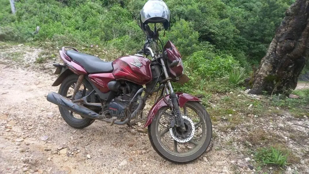 Honda Shine 125 2015 Motorbike (Used)