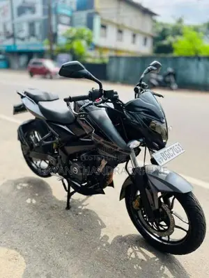Bajaj Pulsar NS200 2017 Motorbike (Used)