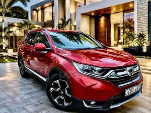 Honda CRV 2019 SUV (Used)