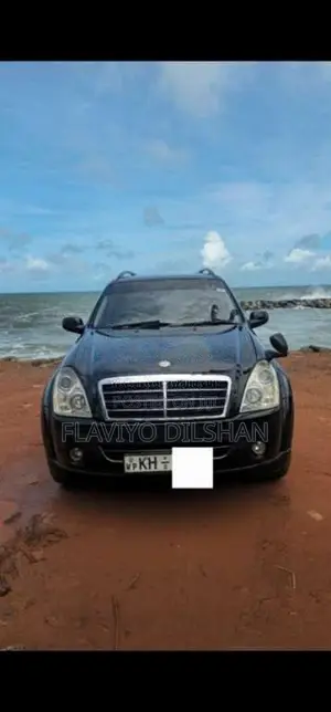 Micro Rexton 2008 SUV (Used)