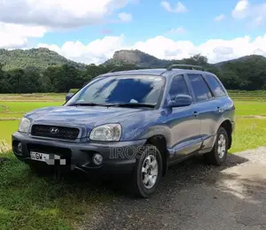Hyundai Santa Fe 2002 SUV (Used)