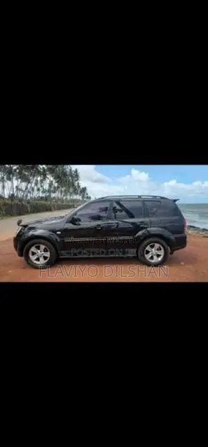 Micro Rexton 2008 SUV (Used)