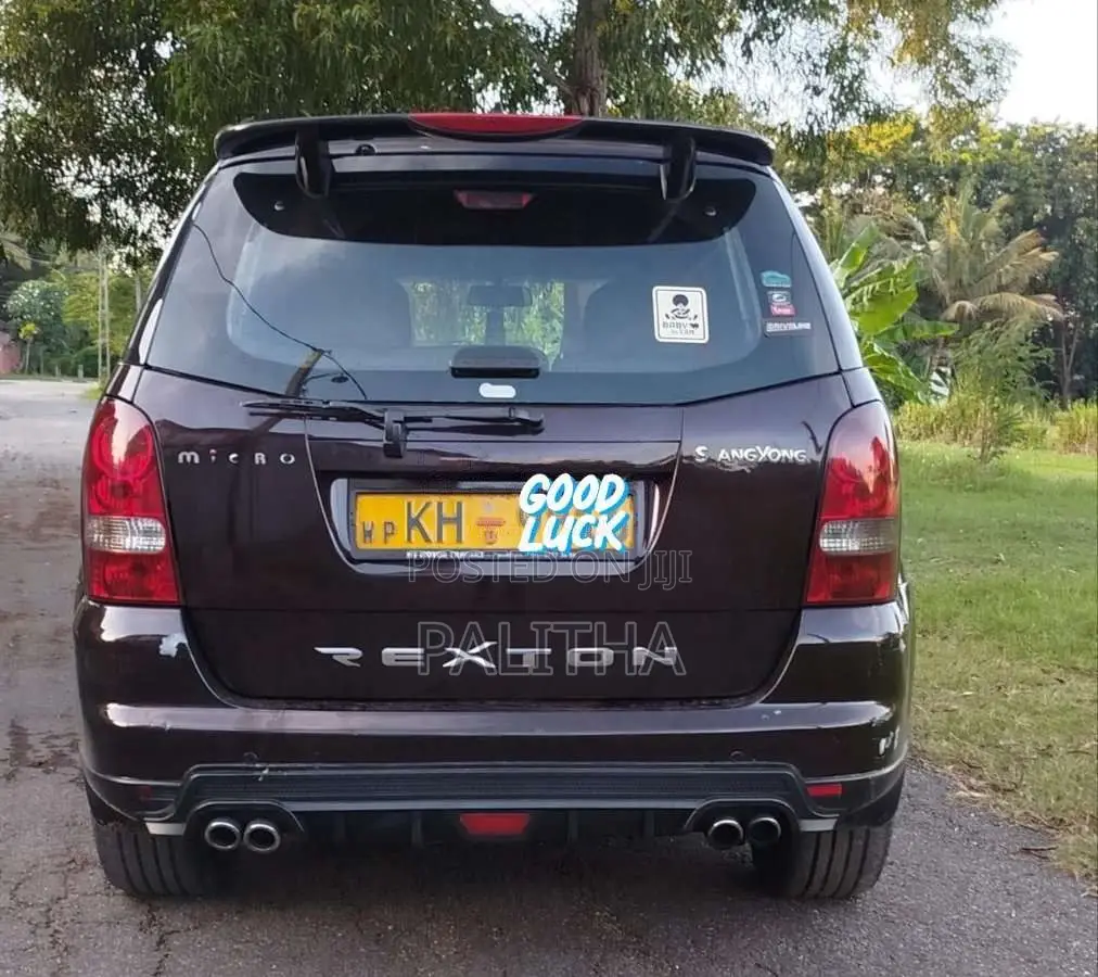 Micro Rexton 2009 SUV (Used)