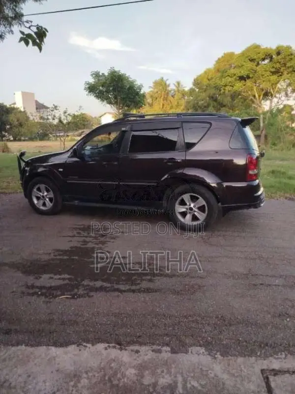 Micro Rexton 2009 SUV (Used)