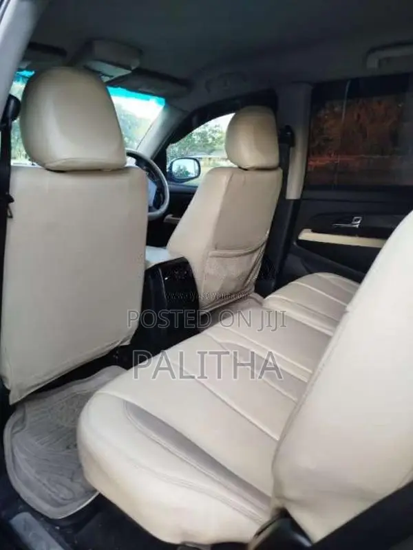Micro Rexton 2009 SUV (Used)