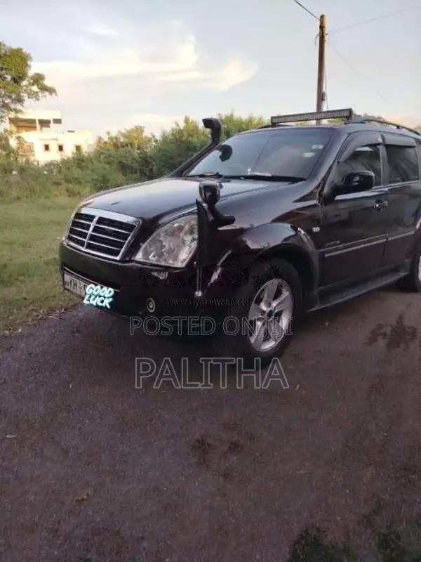 Micro Rexton 2009 SUV (Used)