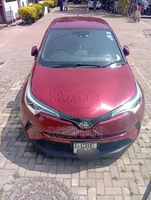 Toyota CHR 2019 SUV (Used)