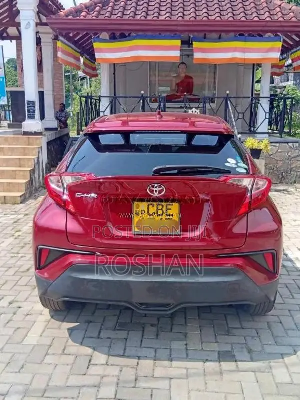 Toyota CHR 2019 SUV (Used)