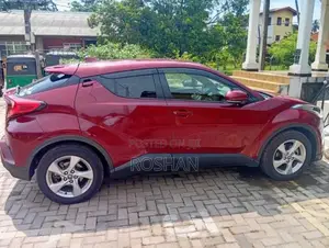 Toyota CHR 2019 SUV (Used)
