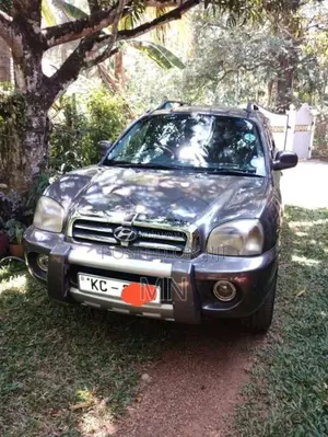 Hyundai Santa FE 2006 SUV (Used)