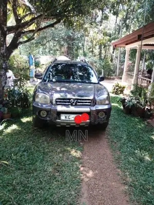Hyundai Santa FE 2006 SUV (Used)