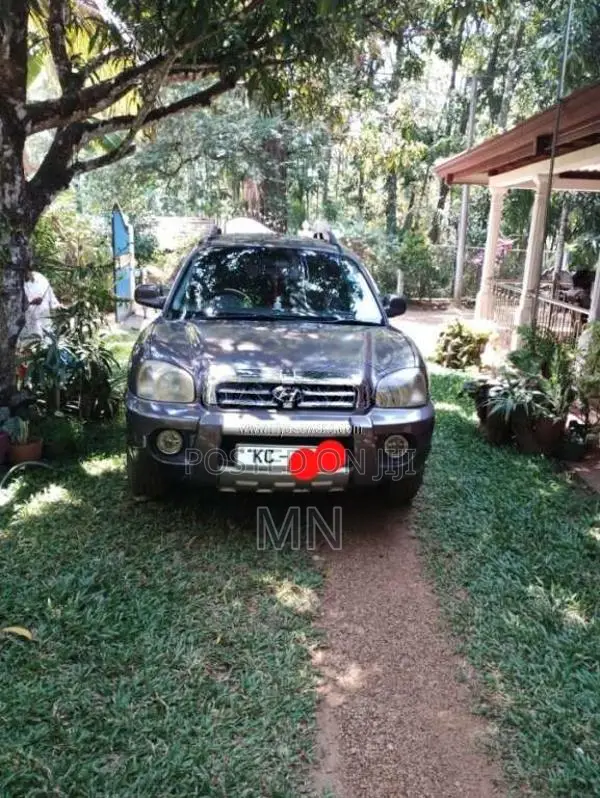 Hyundai Santa FE 2006 SUV (Used)