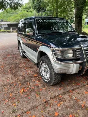 Mitsubishi Pajero 2.8 1994 SUV (Used)