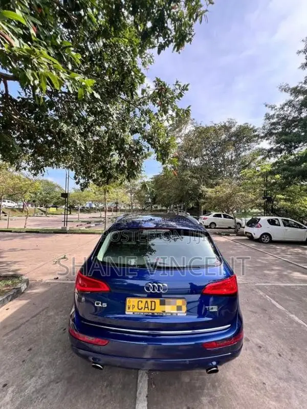 Audi Q5 2014 SUV (Used)