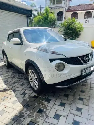 Nissan Juke 2011 SUV (Used)
