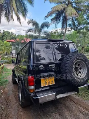 Toyota Land Cruiser 1994 SUV (Used)