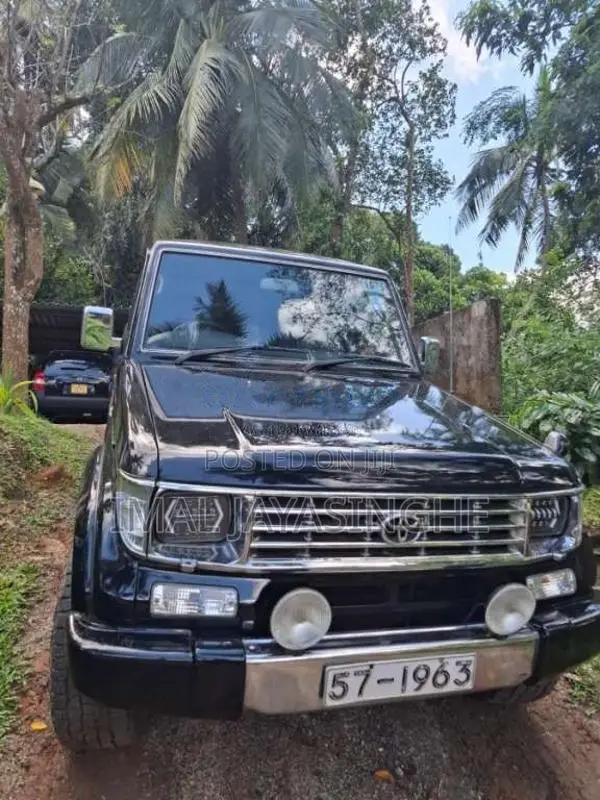 Toyota Land Cruiser 1994 SUV (Used)