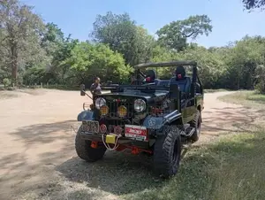 Mitsubishi 4DR5 1970 SUV (Used)