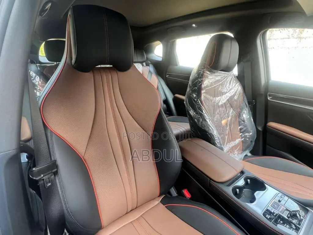 BYD Sealion 6 2025 SUV (Used)