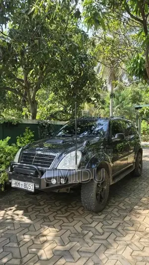 Micro Rexton 2009 SUV (Used)