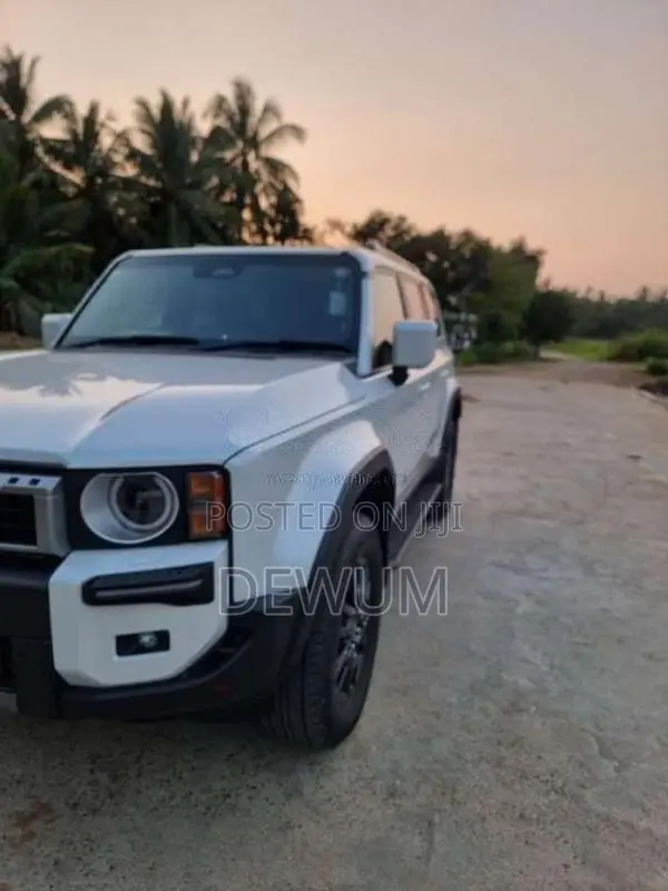 Toyota Land Cruiser 2024 SUV (Used)
