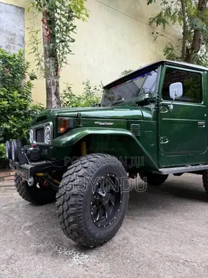Toyota Land Cruiser 1980 SUV (Used)
