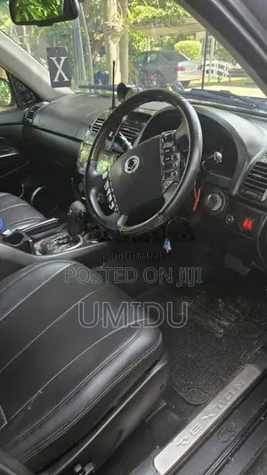 Micro Rexton 2009 SUV (Used)