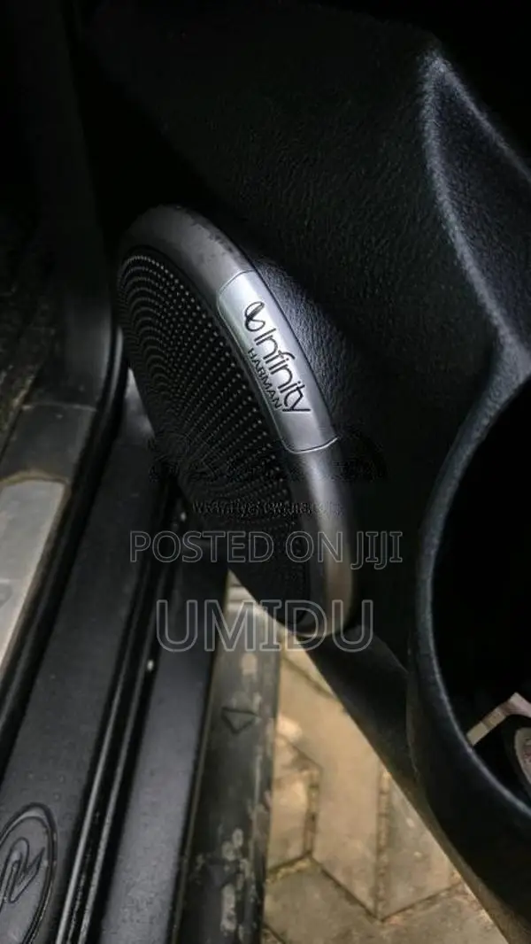 Micro Rexton 2009 SUV (Used)
