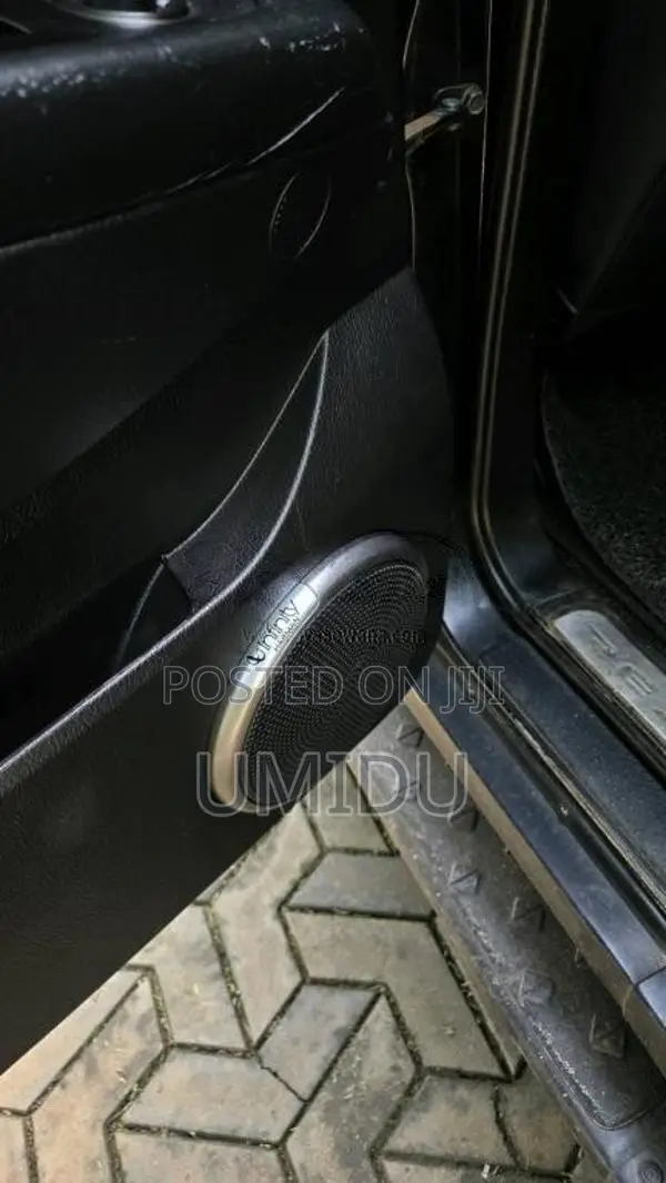 Micro Rexton 2009 SUV (Used)