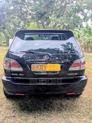 Lexus RX300 2002 SUV (Used)