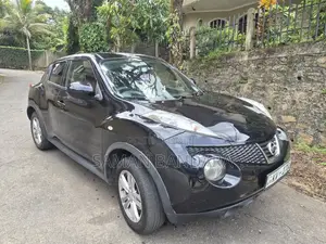 Nissan Juke 2013 SUV (Used)