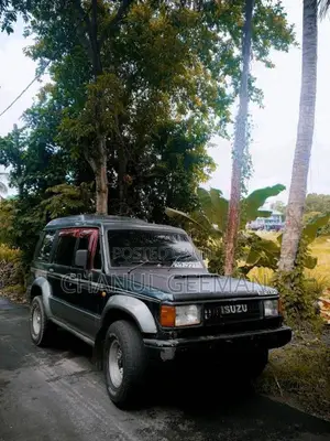 Isuzu Trooper 1987 SUV (Used)